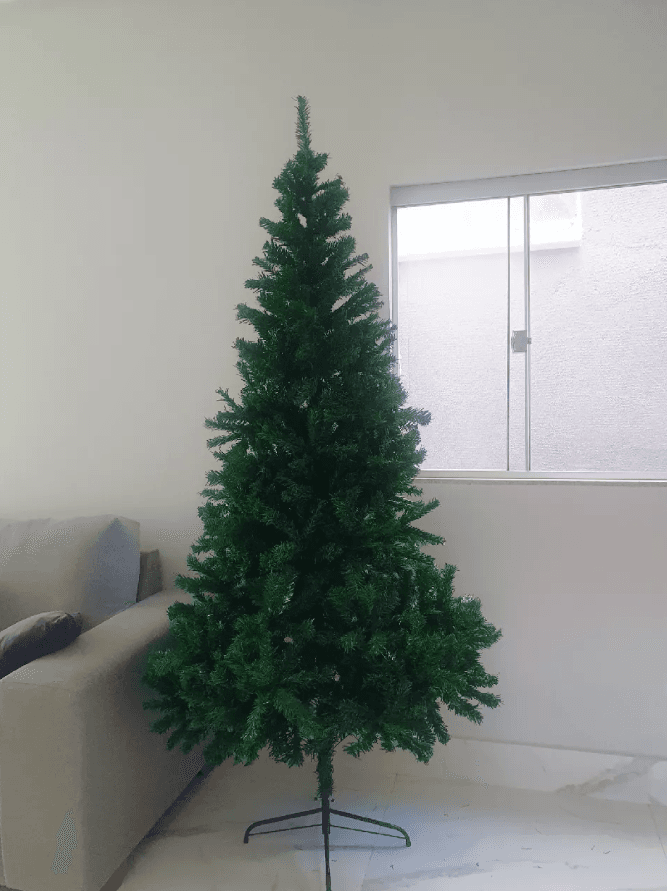 Foto da avaliação de Pedro Henrique - 2